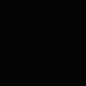 Meet your Posher, Bob